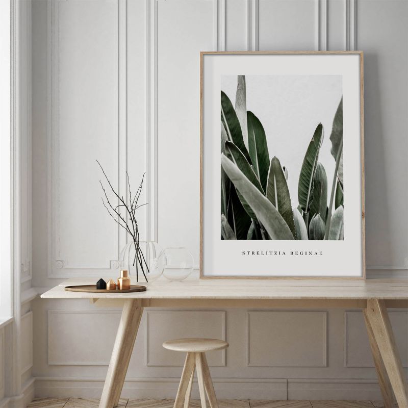 Obraz Artbox Strelitzia 50 x 70 cm