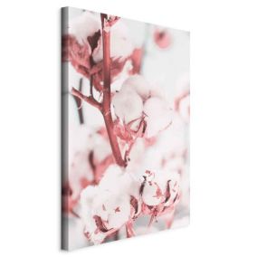 Obraz Artgeist Bawełna w rozkwicie 40 x 60 cm flizelina 1 szt