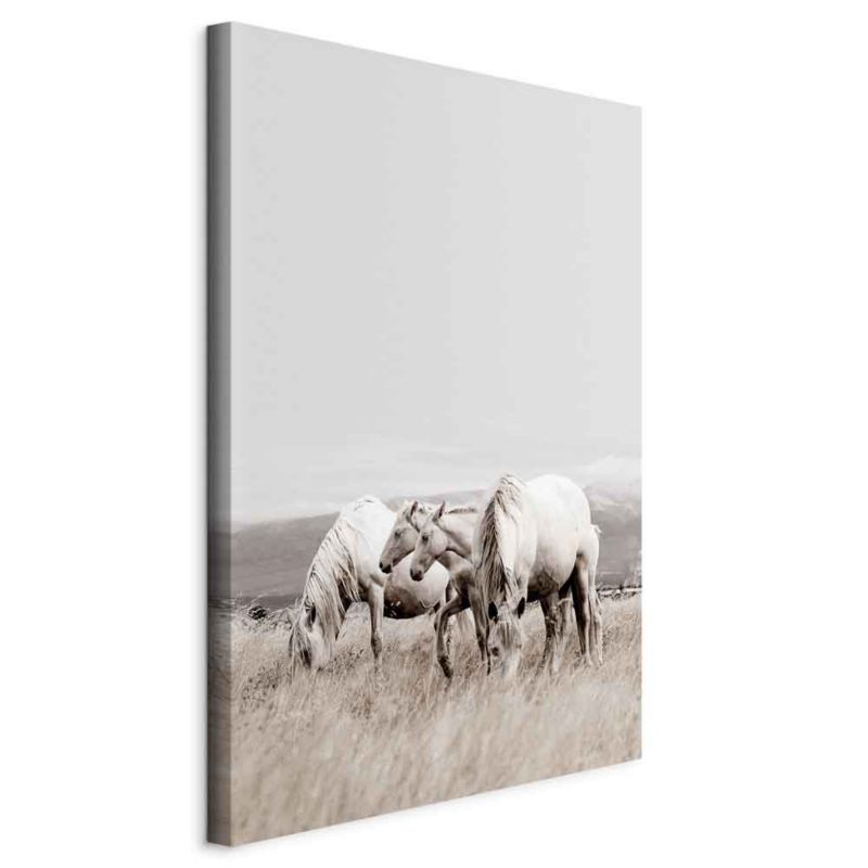 Obraz Artgeist Białe konie 80 x 120 cm flizelina 1 szt