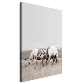 Obraz Artgeist Białe konie 80 x 120 cm płótno włoskie 1 szt