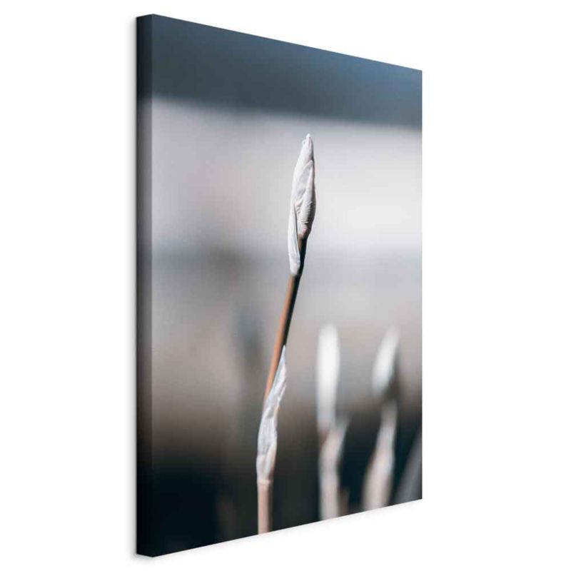 Obraz Artgeist Botaniczny minimalizm 60 x 90 cm płótno włoskie 1 szt