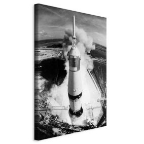 Obraz Artgeist Cosmic speed 40 x 60 cm płótno włoskie 1 szt
