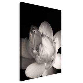 Obraz Artgeist Czarno-biały kwiat 20 x 30 cm płótno włoskie 1 szt