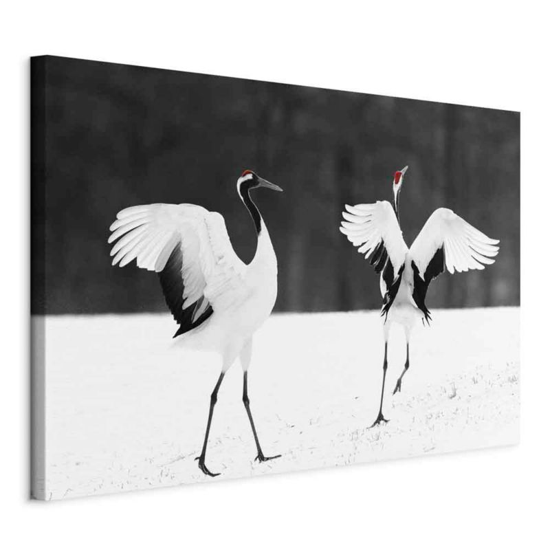 Obraz Artgeist Dancing cranes 60 x 40 cm płótno włoskie 1 szt
