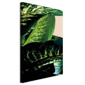 Obraz Artgeist Difenbachia 40 x 60 cm płótno włoskie 1 szt
