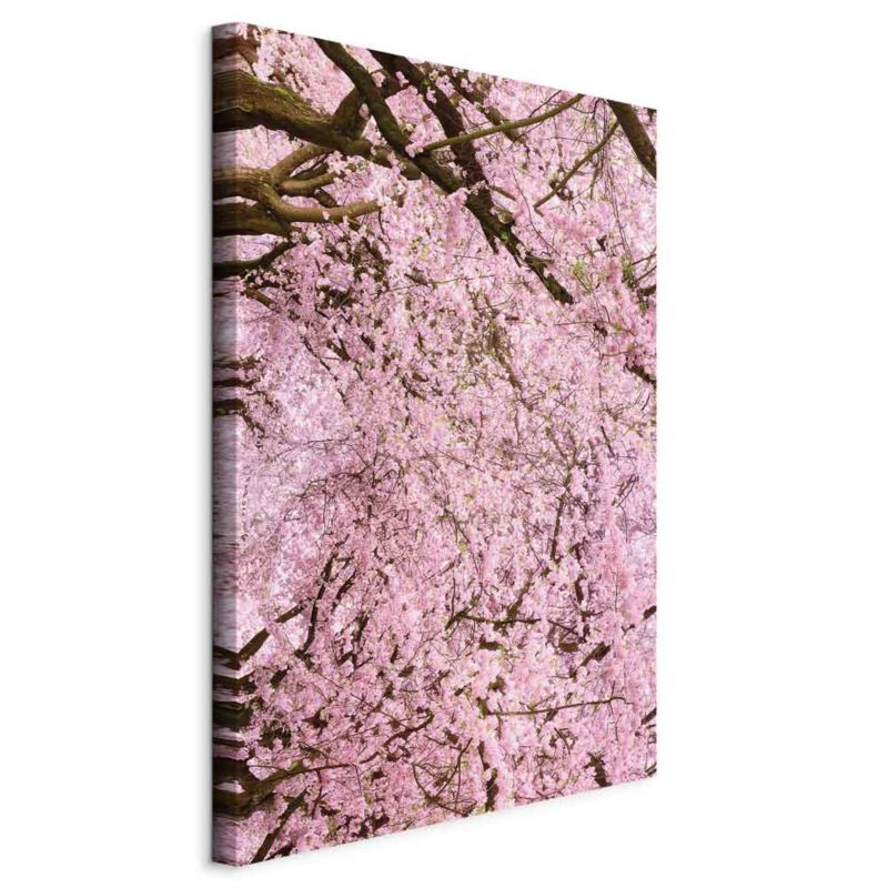 Obraz Artgeist Drzewo wiśni 60 x 90 cm flizelina 1 szt
