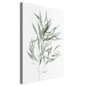 Obraz Artgeist Eukaliptus Nicholii 20 x 30 cm flizelina 1 szt