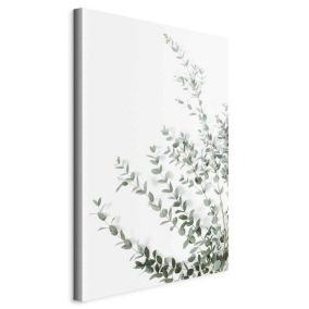 Obraz Artgeist Eukaliptus Parvifolia 80 x 120 cm płótno włoskie 1 szt