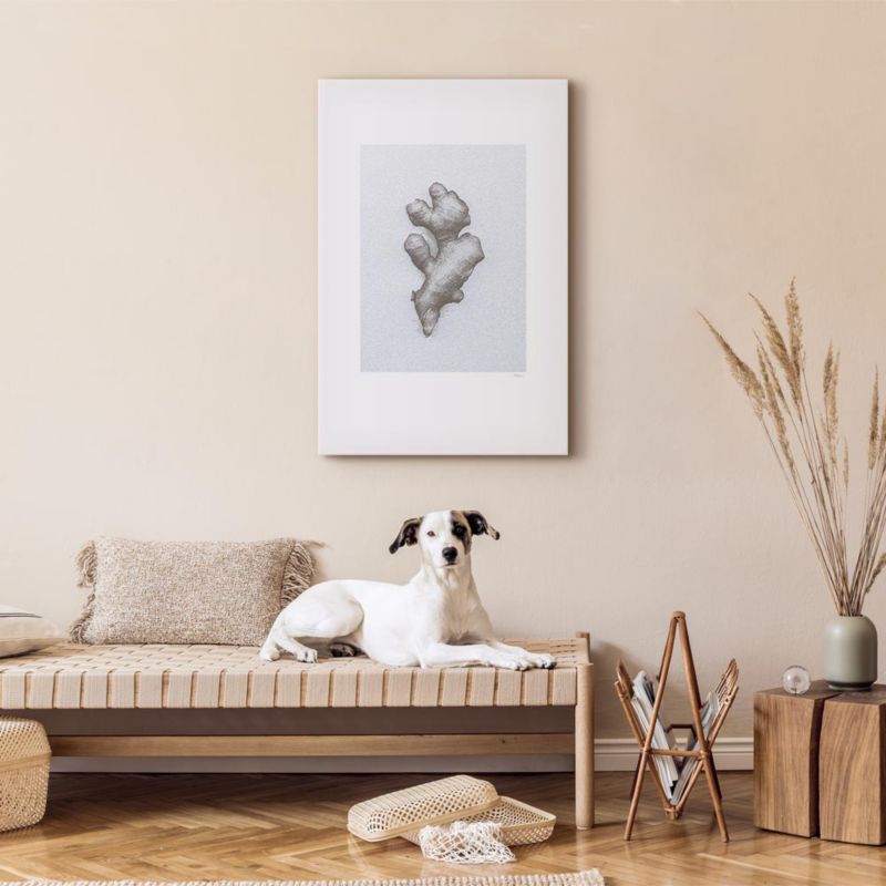 Obraz Artgeist Imbir 40 x 60 cm płótno włoskie 1 szt