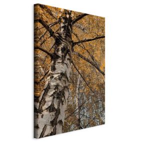Obraz Artgeist Jesienna kolorystyka 60 x 90 cm płótno włoskie 1 szt