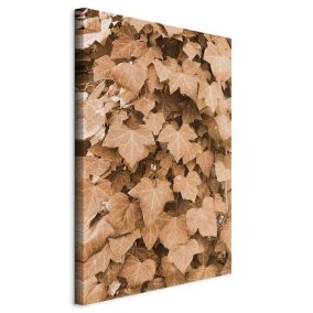 Obraz Artgeist Jesienny bluszcz 20 x 30 cm płótno włoskie 1 szt