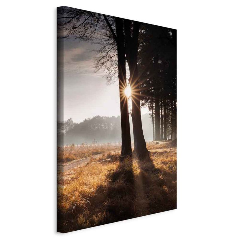 Obraz Artgeist Jesteśmy promykiem 60 x 90 cm płótno włoskie 1 szt