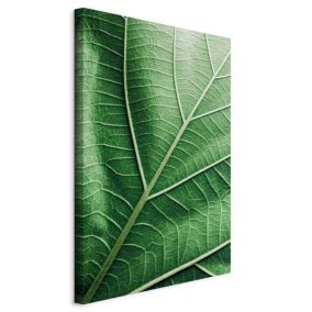 Obraz Artgeist Malachitowy liść 20 x 30 cm płótno włoskie 1 szt
