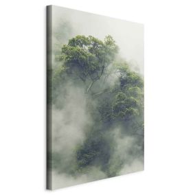 Obraz Artgeist Mglista Amazonia 60 x 90 cm flizelina 1 szt
