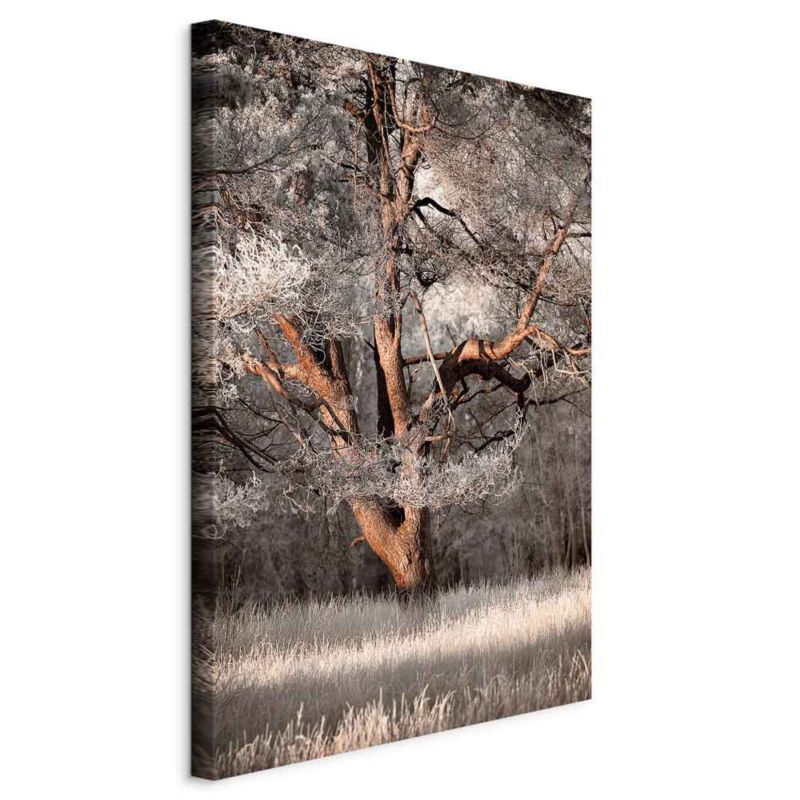 Obraz Artgeist Moja historia 20 x 30 cm flizelina 1 szt