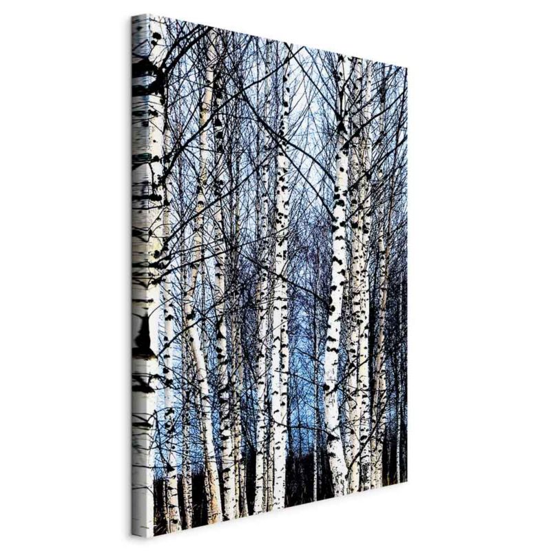 Obraz Artgeist Mroźny styczeń 60 x 90 cm płótno włoskie 1 szt