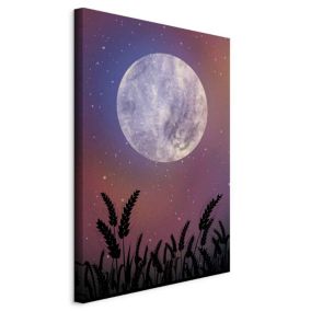 Obraz Artgeist Noc na wsi 60 x 90 cm płótno włoskie 1 szt