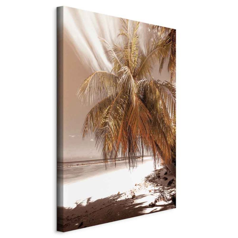 Obraz Artgeist Palmowy cień 20 x 30 cm płótno włoskie 1 szt