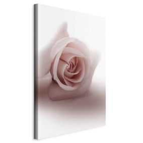 Obraz Artgeist Pastelowa róża 40 x 60 cm flizelina 1 szt
