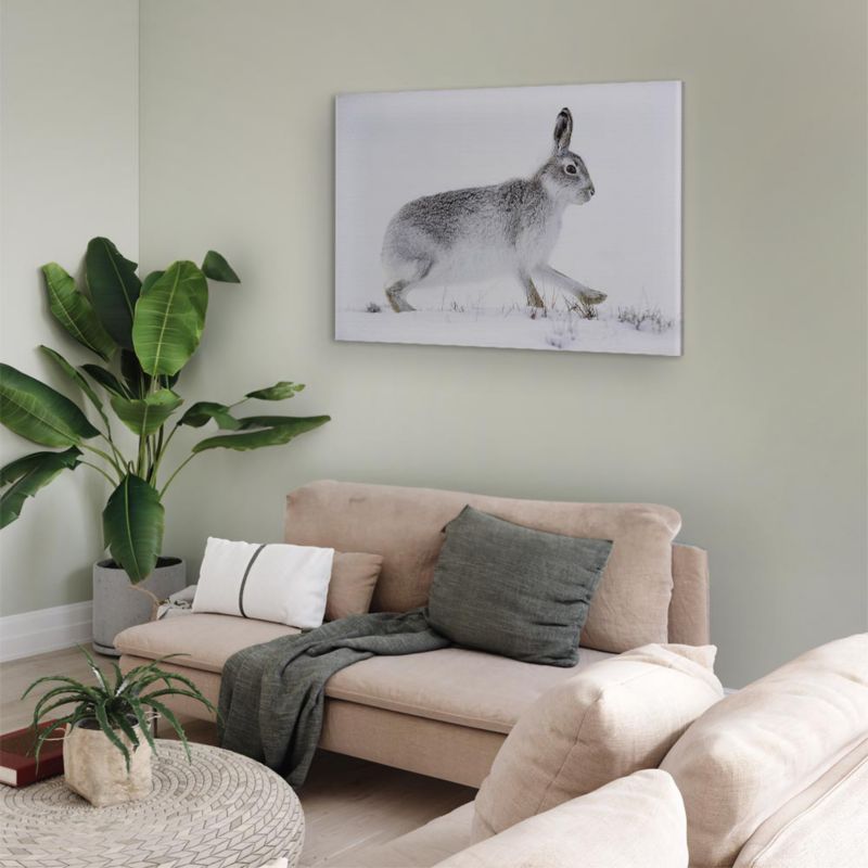 Obraz Artgeist Rabbit 60 x 40 cm flizelina 1 szt