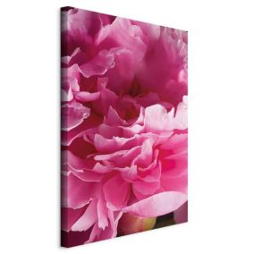 Obraz Artgeist Rozkwit piękna 60 x 90 cm flizelina 1 szt