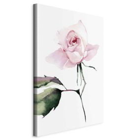 Obraz Artgeist Samotna róża 80 x 120 cm płótno włoskie 1 szt