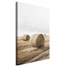 Obraz Artgeist Siano 80 x 120 cm płótno włoskie 1 szt