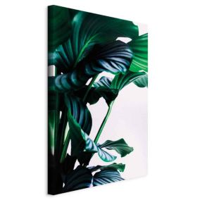 Obraz Artgeist Sprężyste liście 40 x 60 cm płótno włoskie 1 szt