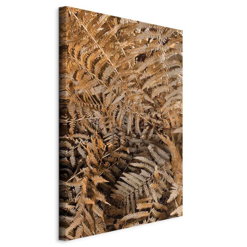 Obraz Artgeist Tajemnicza paproć 20 x 30 cm płótno włoskie 1 szt
