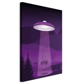 Obraz Artgeist Ufo 40 x 60 cm płótno włoskie 1 szt