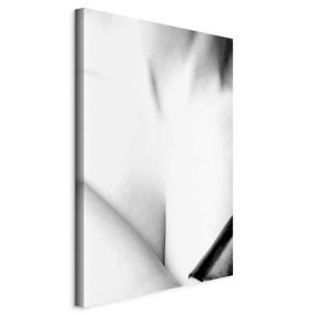 Obraz Artgeist Wdzięk 60 x 90 cm flizelina 1 szt