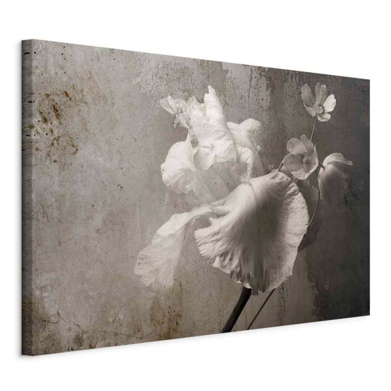 Obraz Artgeist Wenecki blask 30 x 20 cm płótno włoskie 1 szt