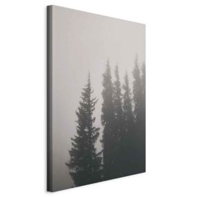 Obraz Artgeist Zapach leśnej mgły 60 x 90 cm płótno włoskie 1 szt
