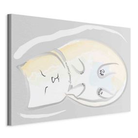 Obraz Artgeist Zaspany kotek 30 x 20 cm flizelina 1 szt