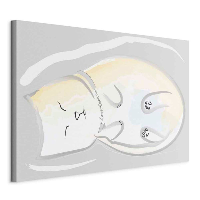 Obraz Artgeist Zaspany kotek 60 x 40 cm flizelina 1 szt
