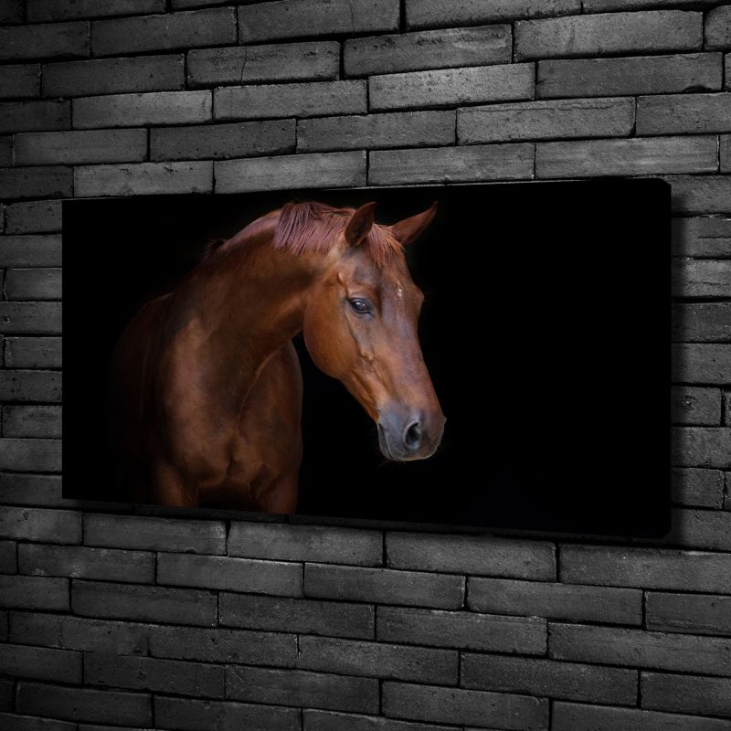 Obraz canvas Tulup Brązowy koń 120x60 cm 1 szt.