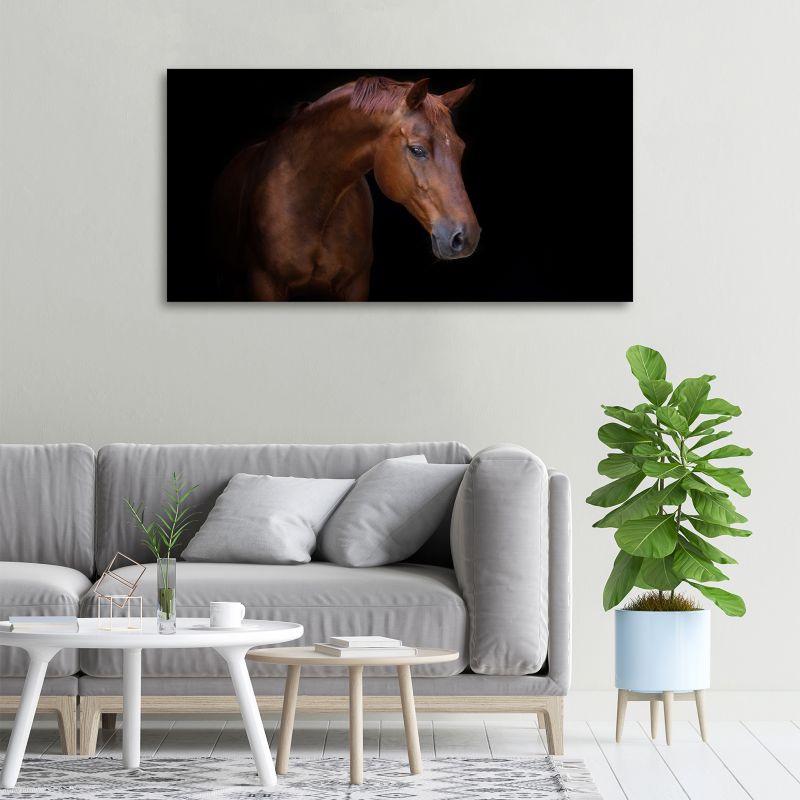 Obraz canvas Tulup Brązowy koń 120x60 cm 1 szt.