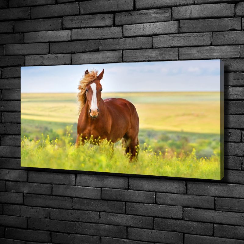 Obraz canvas Tulup Brązowy koń 125x50 cm 1 szt.