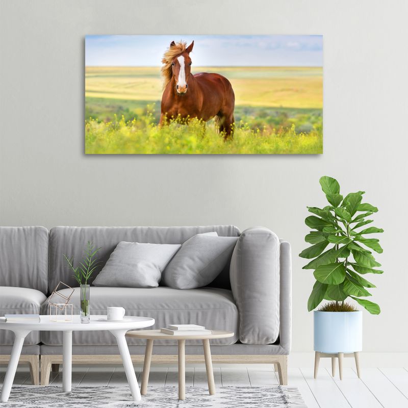 Obraz canvas Tulup Brązowy koń 125x50 cm 1 szt.