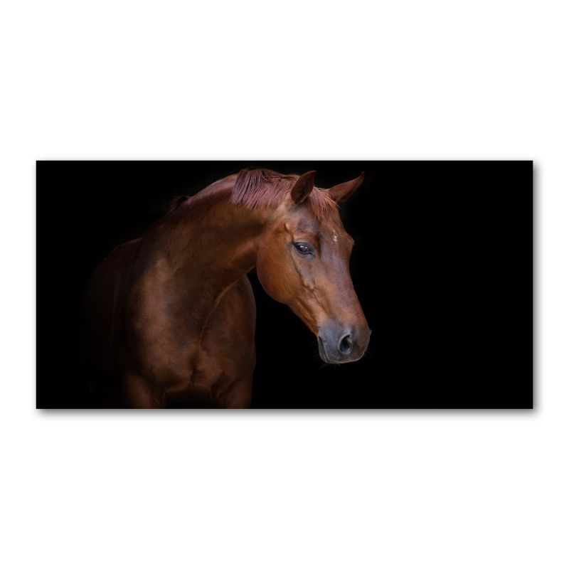 Obraz canvas Tulup Brązowy koń 140x70 cm 1 szt.