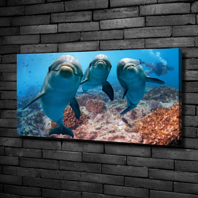 Obraz canvas Tulup Delfiny 100x50 cm 1 szt.