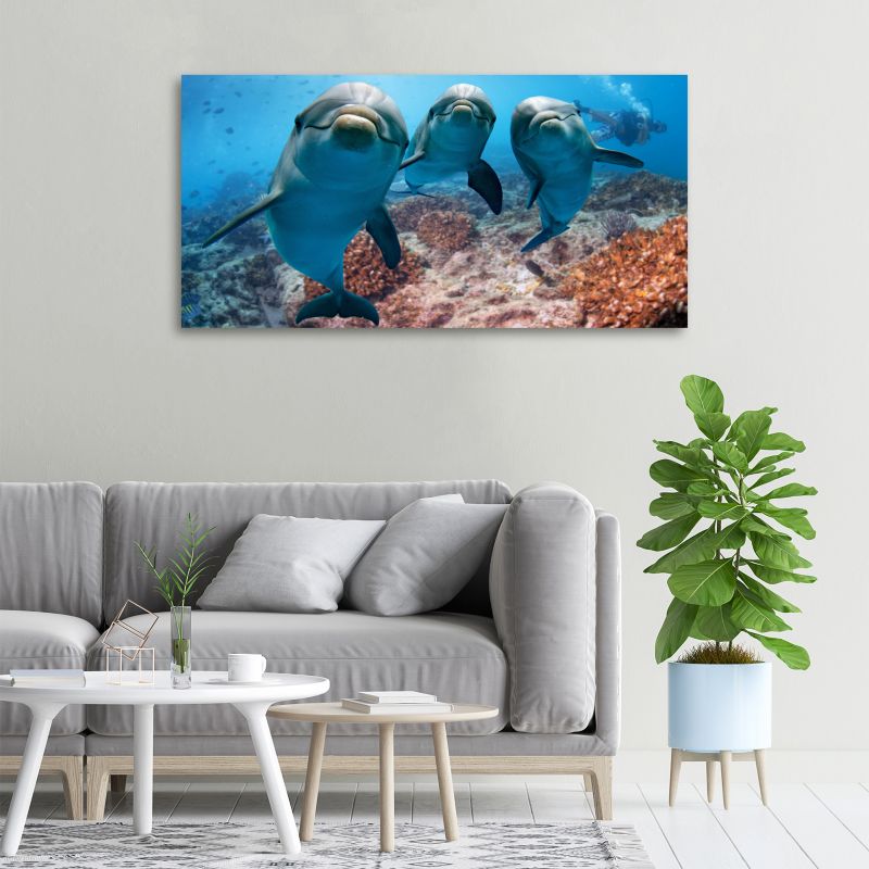 Obraz canvas Tulup Delfiny 100x50 cm 1 szt.