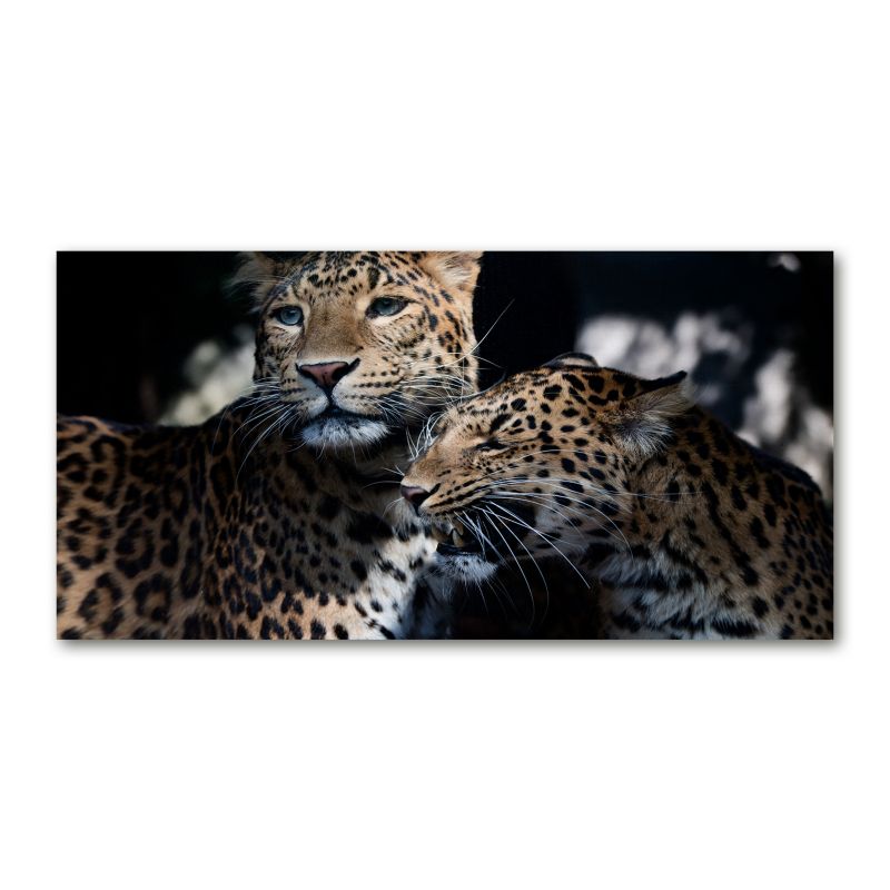 Obraz canvas Tulup Dwa lamparty 120x60 cm 1 szt.