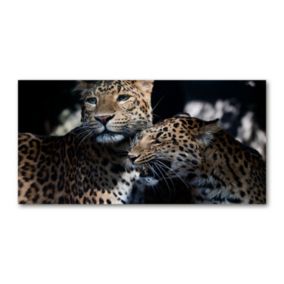 Obraz canvas Tulup Dwa lamparty 120x60 cm 1 szt.