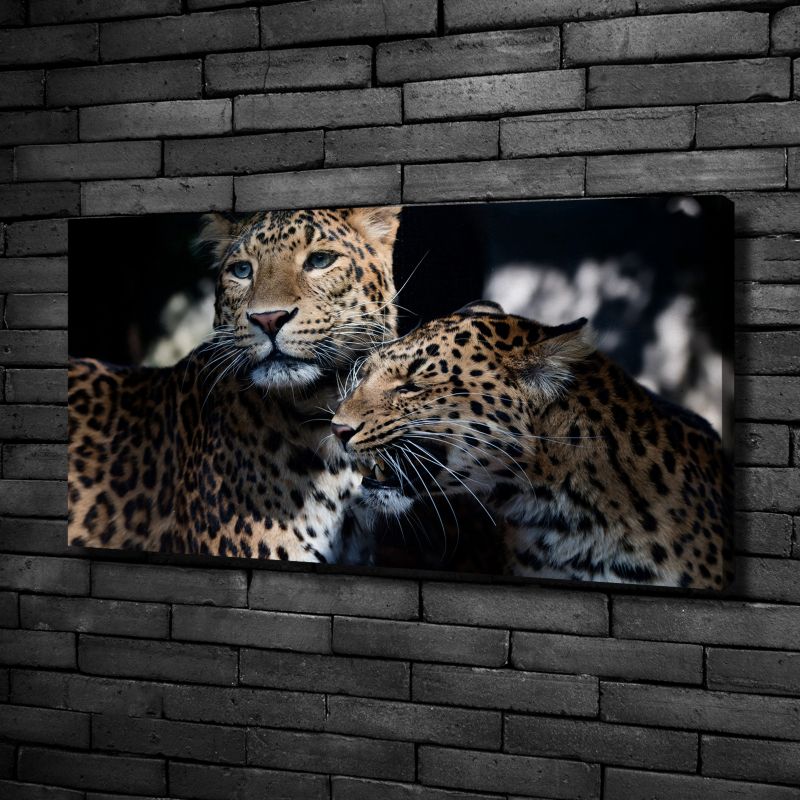 Obraz canvas Tulup Dwa lamparty 120x60 cm 1 szt.