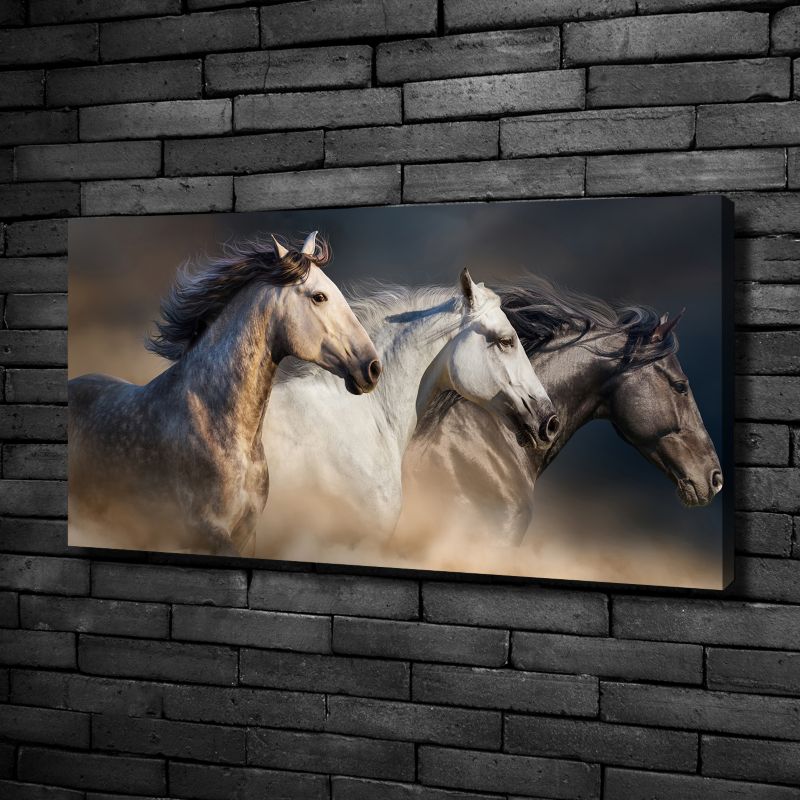 Obraz canvas Tulup Dzika wolność 125x50 cm 1 szt.