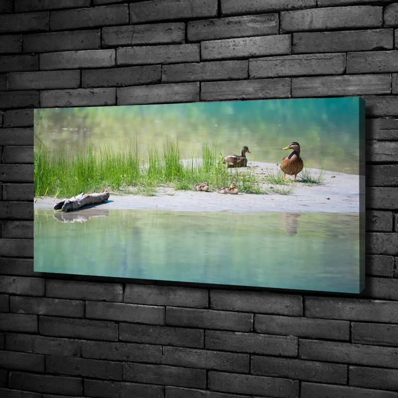 Obraz canvas Tulup Kaczki w wodzie 125x50 cm 1 szt.