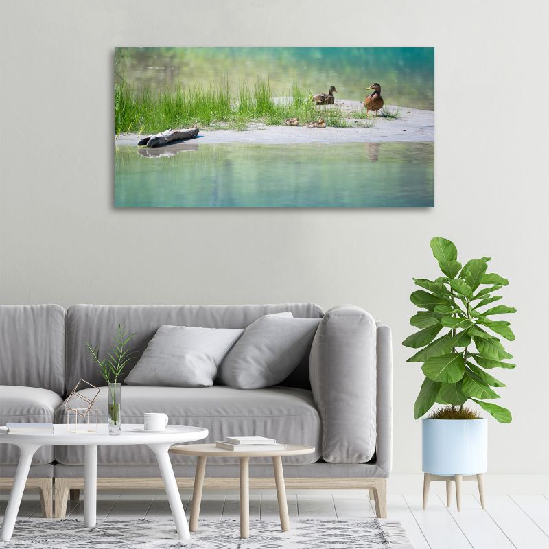 Obraz canvas Tulup Kaczki w wodzie 125x50 cm 1 szt.