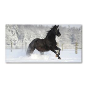 Obraz canvas Tulup Koń śnieg 125x50 cm 1 szt.