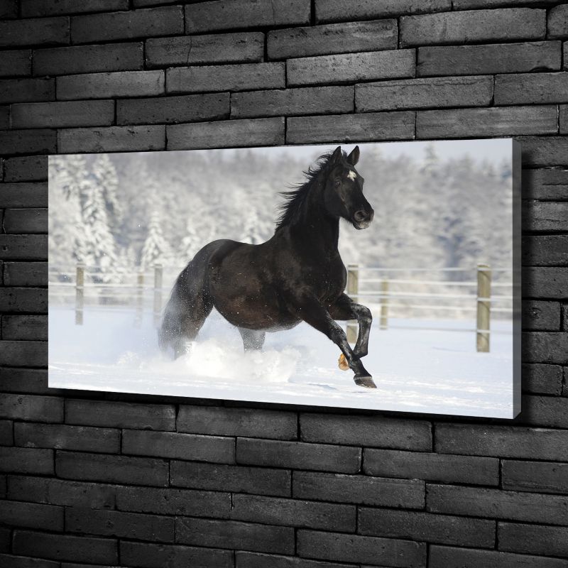 Obraz canvas Tulup Koń śnieg 125x50 cm 1 szt.